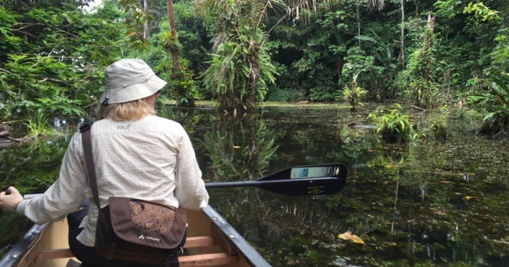 Birding hotspot in Costa Rican Wetland