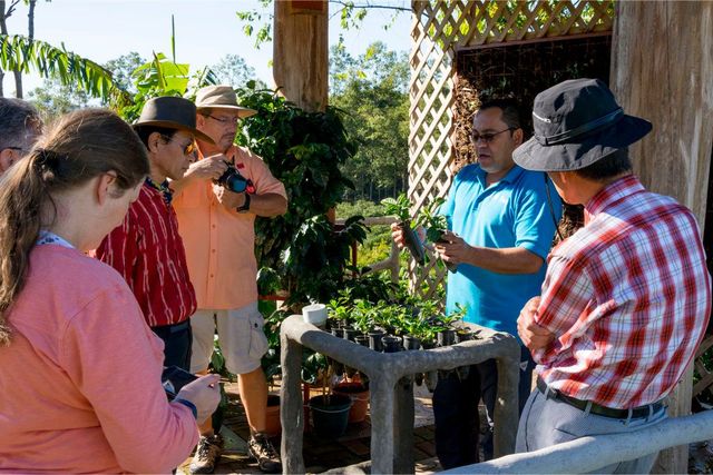 Hacienda Doka Coffee Tour