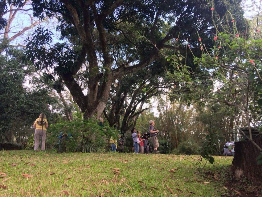 Birding group at Villa San Ignacio
