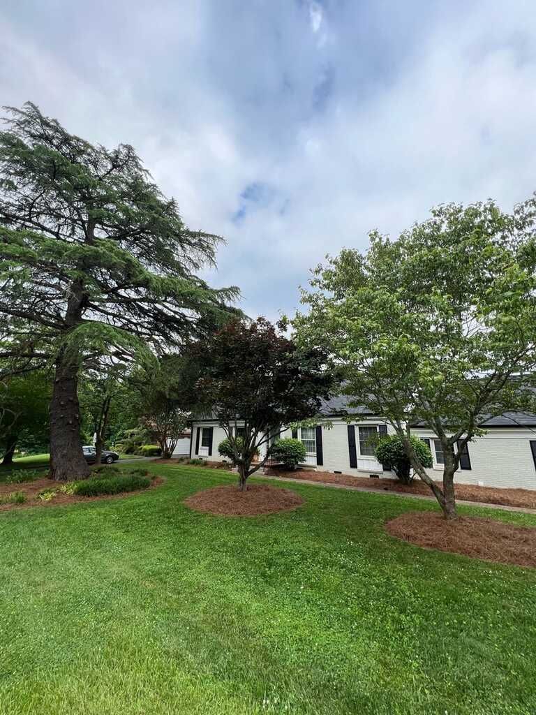 A white house with a lot of trees in front of it.
