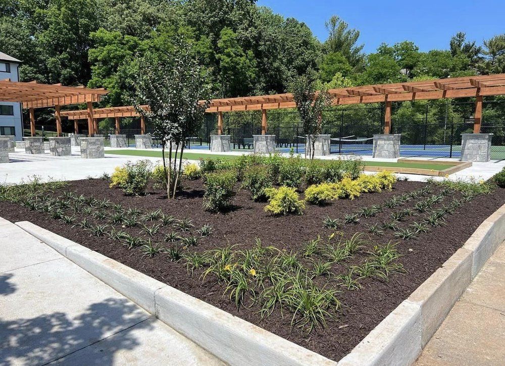 A lush green garden with a pergola in the background