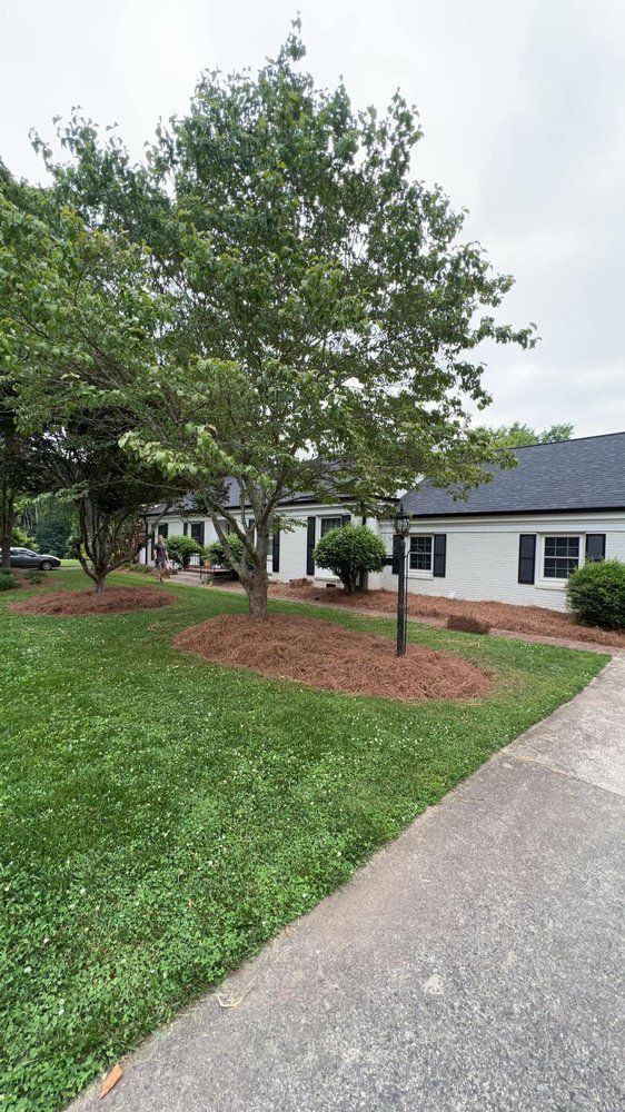 A white house with a black roof is sitting on top of a lush green lawn.