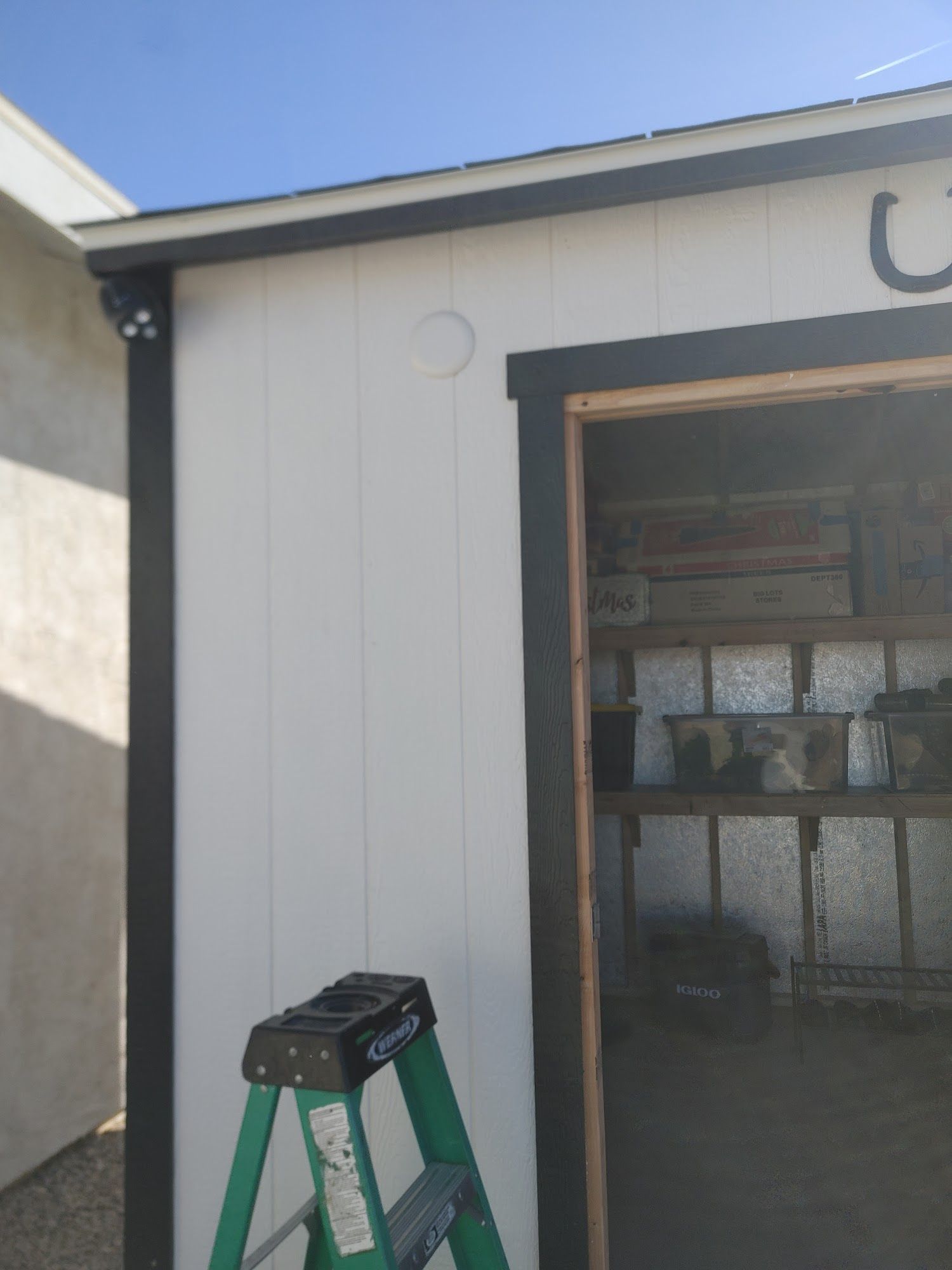 White shed with black trim and open doorway, green ladder in front.