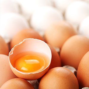 Food Allergies — Eggs in Memphis, TN