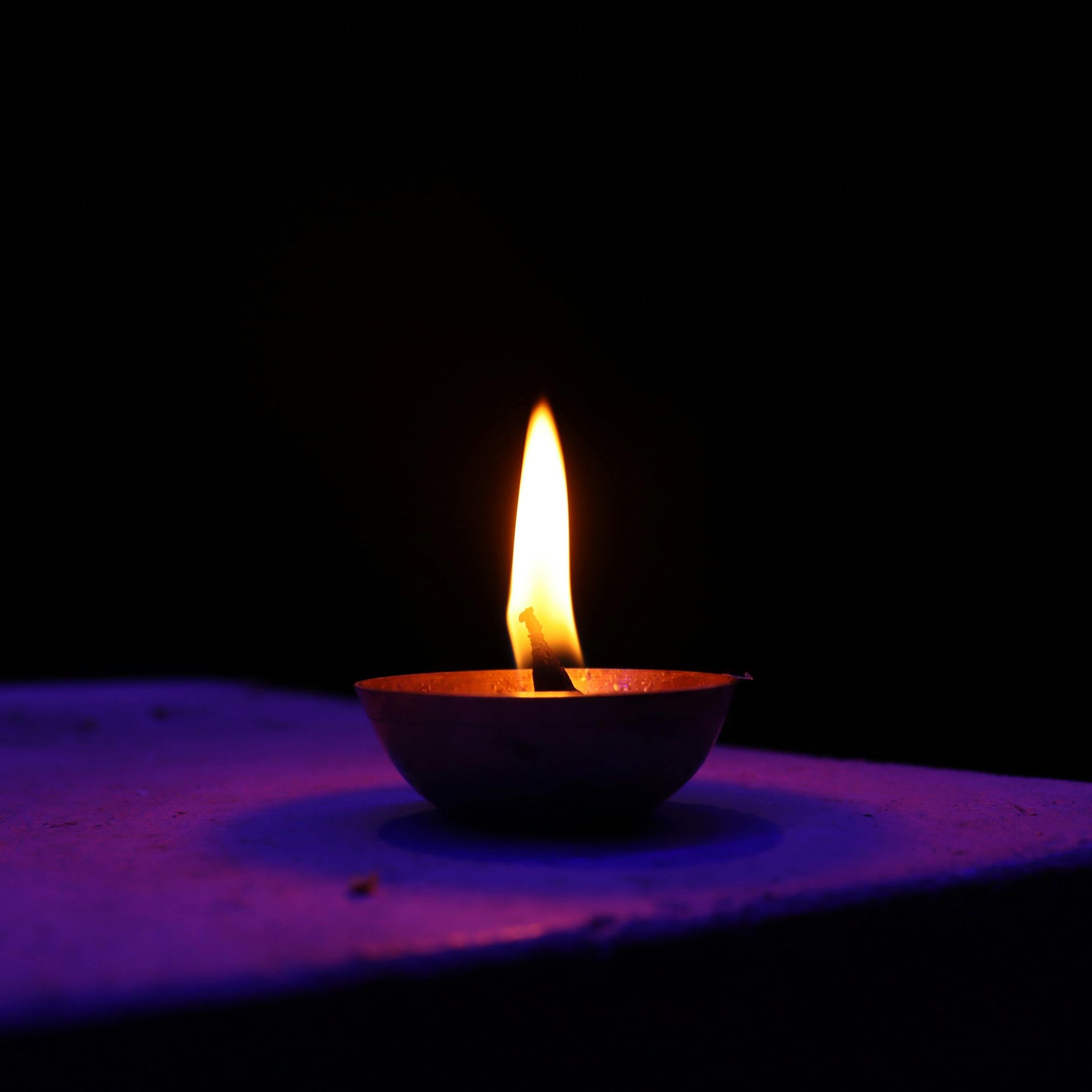 All of our holiday specific characters for hire.