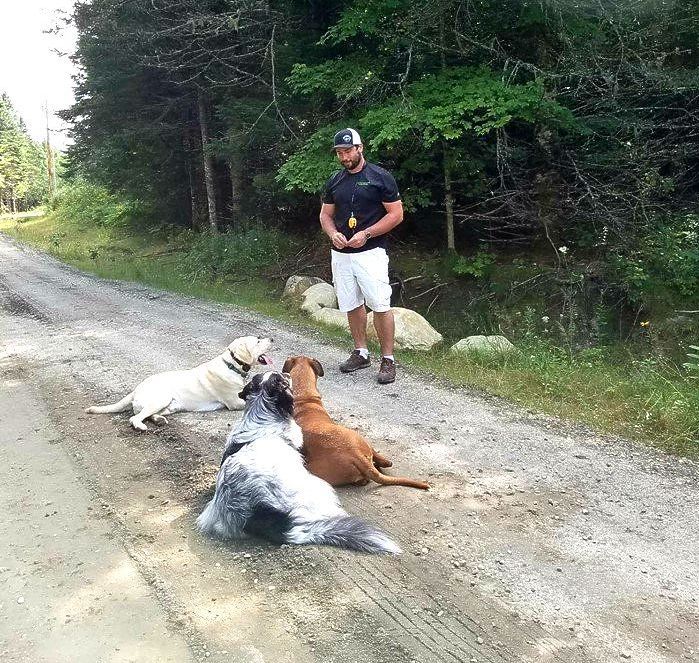 A man standing in front of 3 dogs laying on the dirt road.