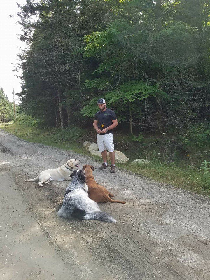 Jeff co-owner of OTBT, standing on a dirt road with three dogs lying in front of him