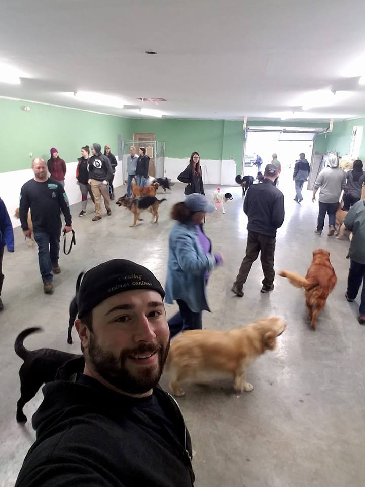 Jeff co-owner of OTBT talking a photo of owners working with their dogs