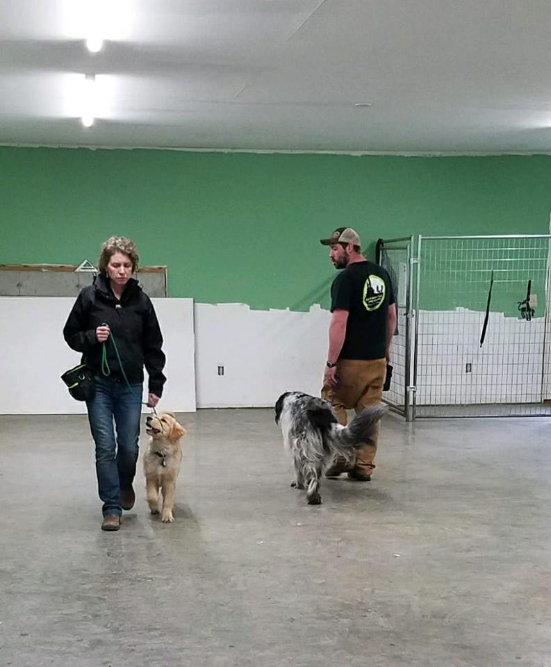 A man and a women both walking dogs inside the Newark VT training center.