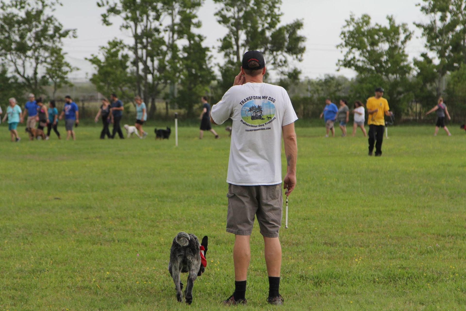 Dogs and their humans on a grassy lawn working on training techniques.