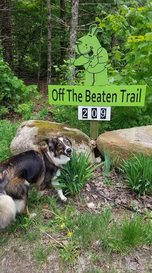 A dog in front of the off the beaten trail sign