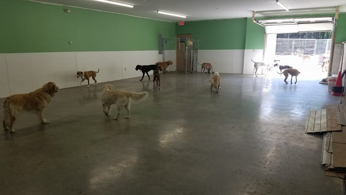Indoor Training area at Off the Beaten Trail dog boarding facility in Newark, VT