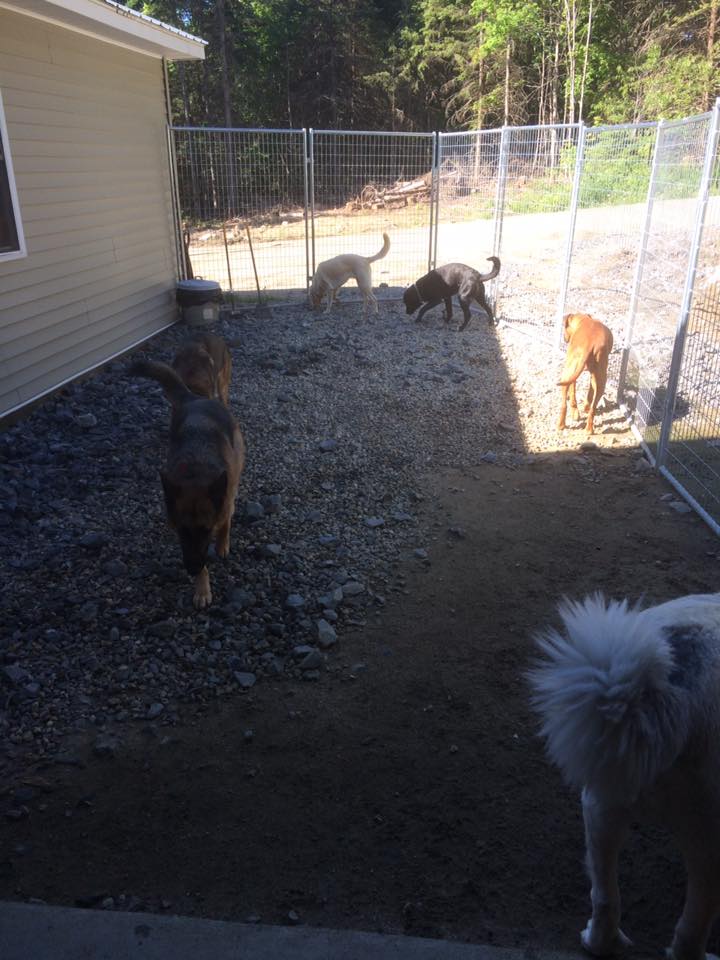 Play Yard at Off The Beaten Trail in Newark, Vermont