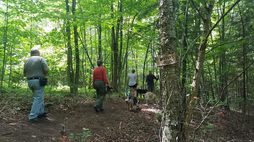 A group of people walking with dogs in the woods during a OTBT class