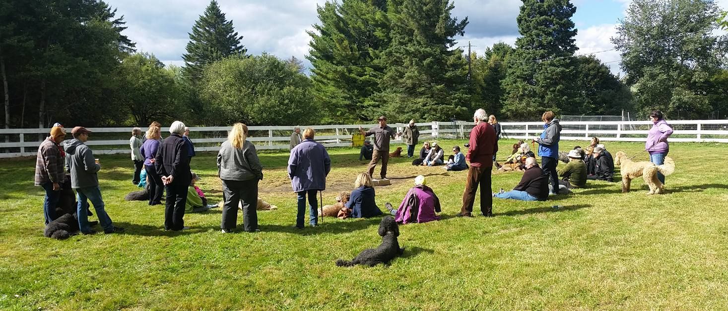 Dogs with their humans sitting and standing around the trainer.