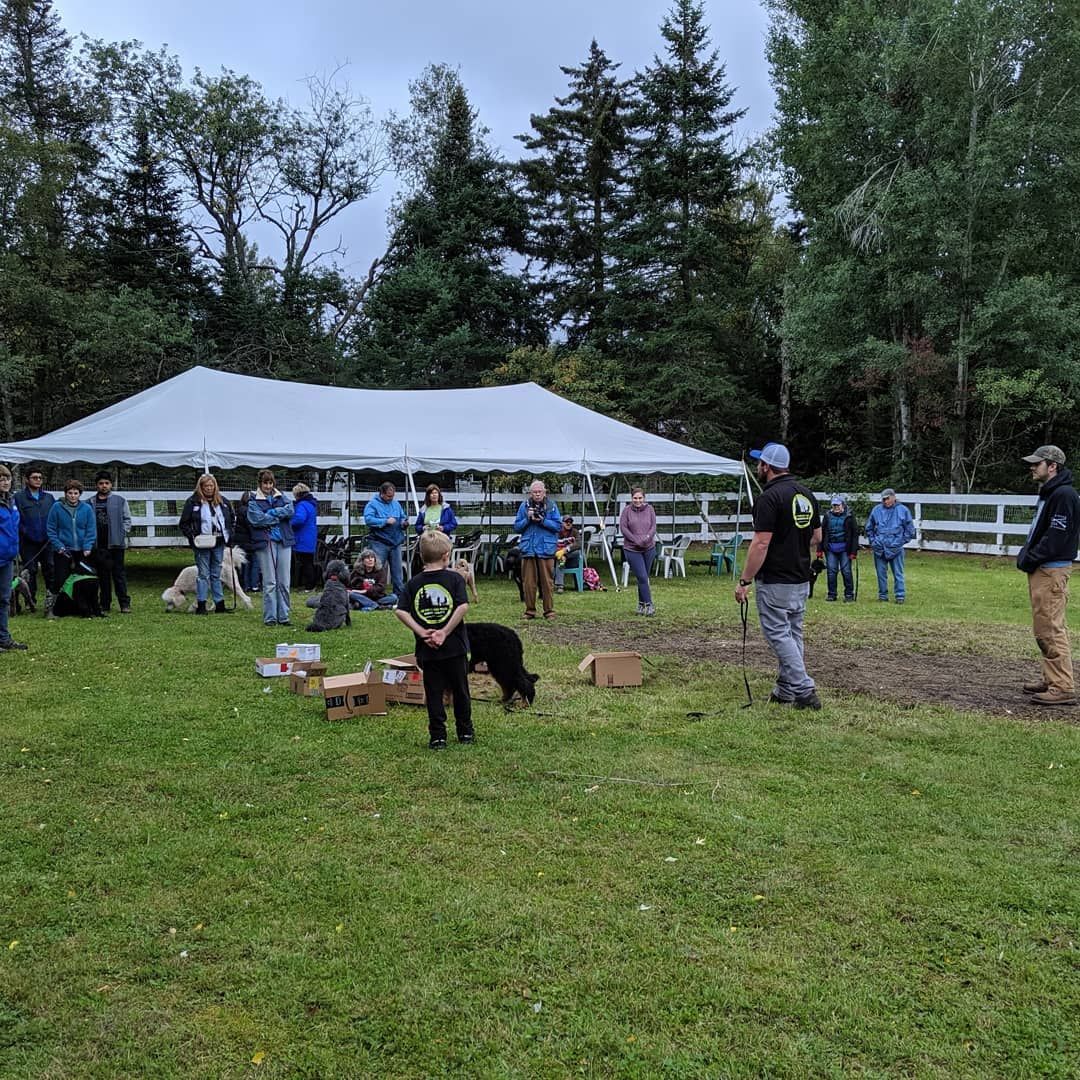 People standing under a white tent watching as the trainer works with a dog