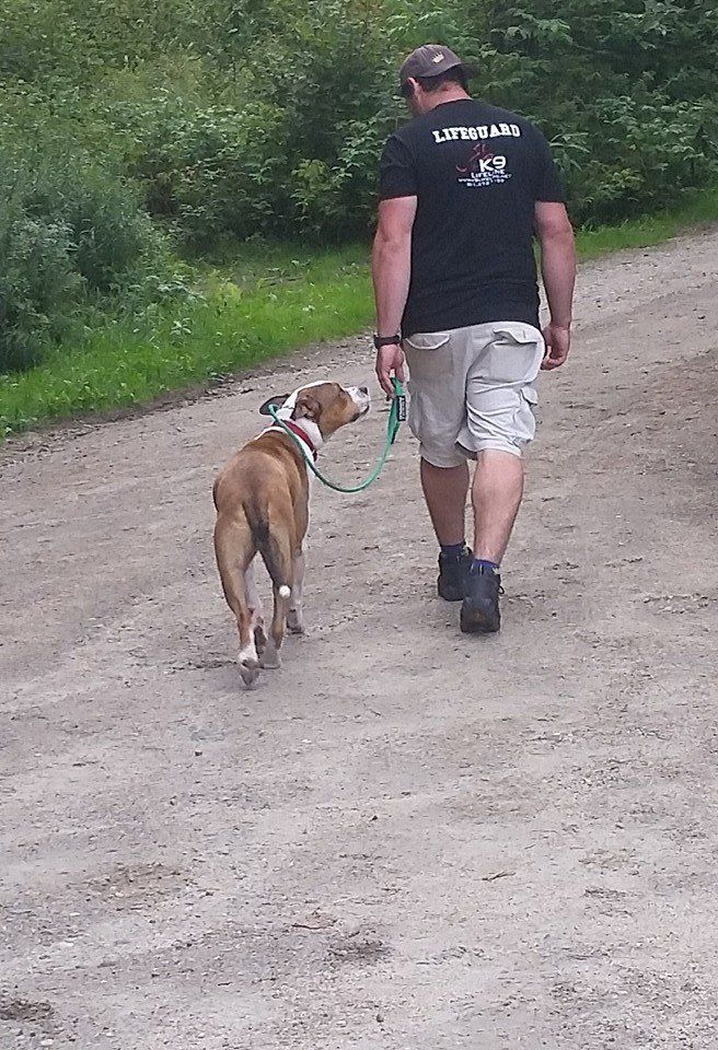 Jeff walking with a brown dog on a dirt road