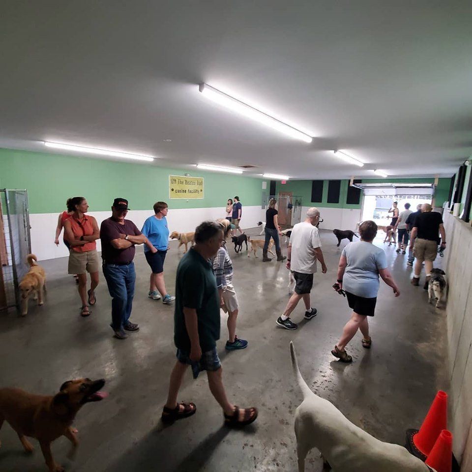 Owners and dogs walking by the wall during the Sunday Social inside