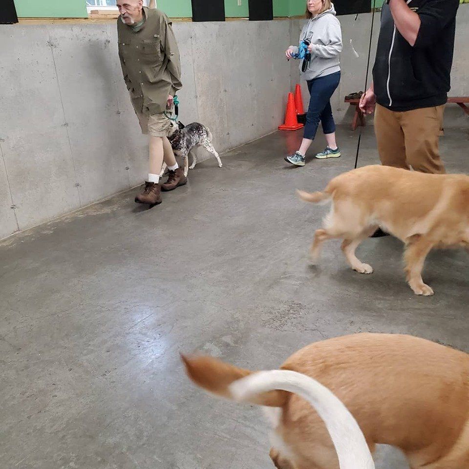Owners and dogs walking by the wall during the Sunday Social inside