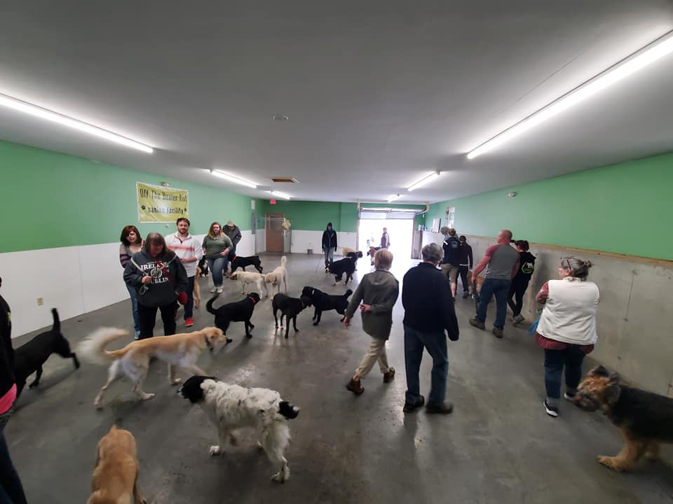 Owners and dogs during the Sunday Social inside