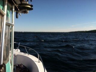 A boat is floating on a large body of water