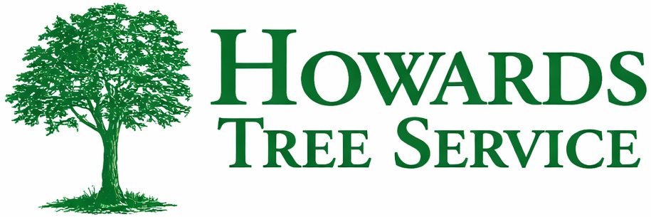 Green logo with a tree and the words