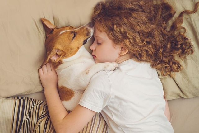 Girl sleeping with pet dog — Natraspray in Coffs Harbour, NSW