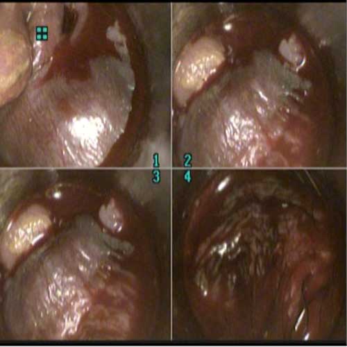 Dr. José de Jesús Márquez García