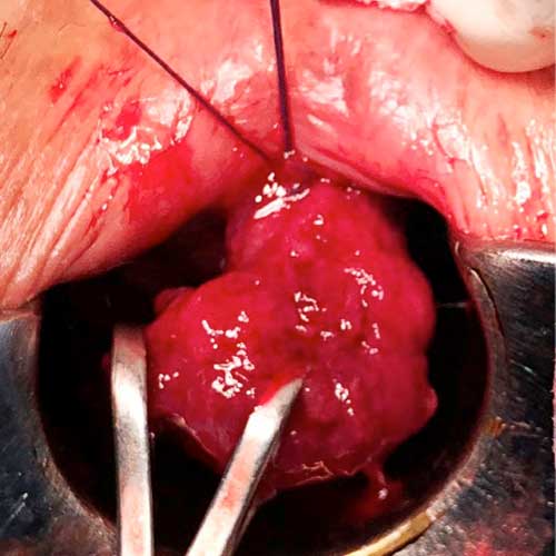 Dr. José de Jesús Márquez García