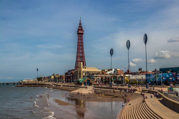 Aerial photo of Paris. Terraced buildings and trees in foreground. Eiffel Tower in the distance.