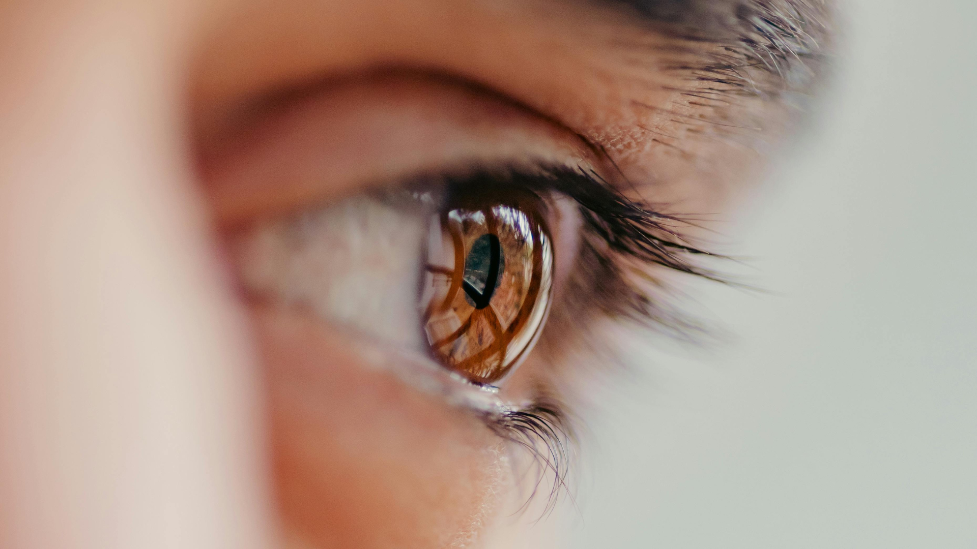 Close-up of a brown eye, reflecting a dark, blurry shape; visible eyelashes.