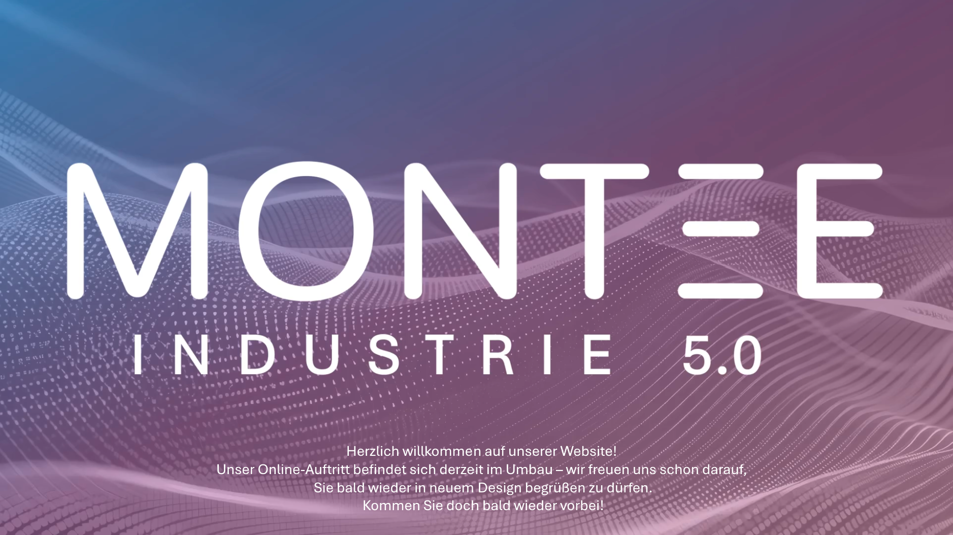 Logo von meissner Outsourcing.