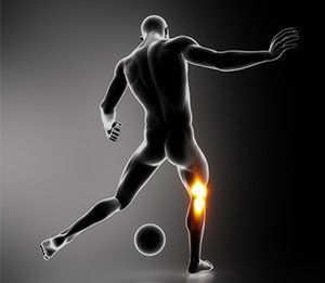 representation of human leg portion