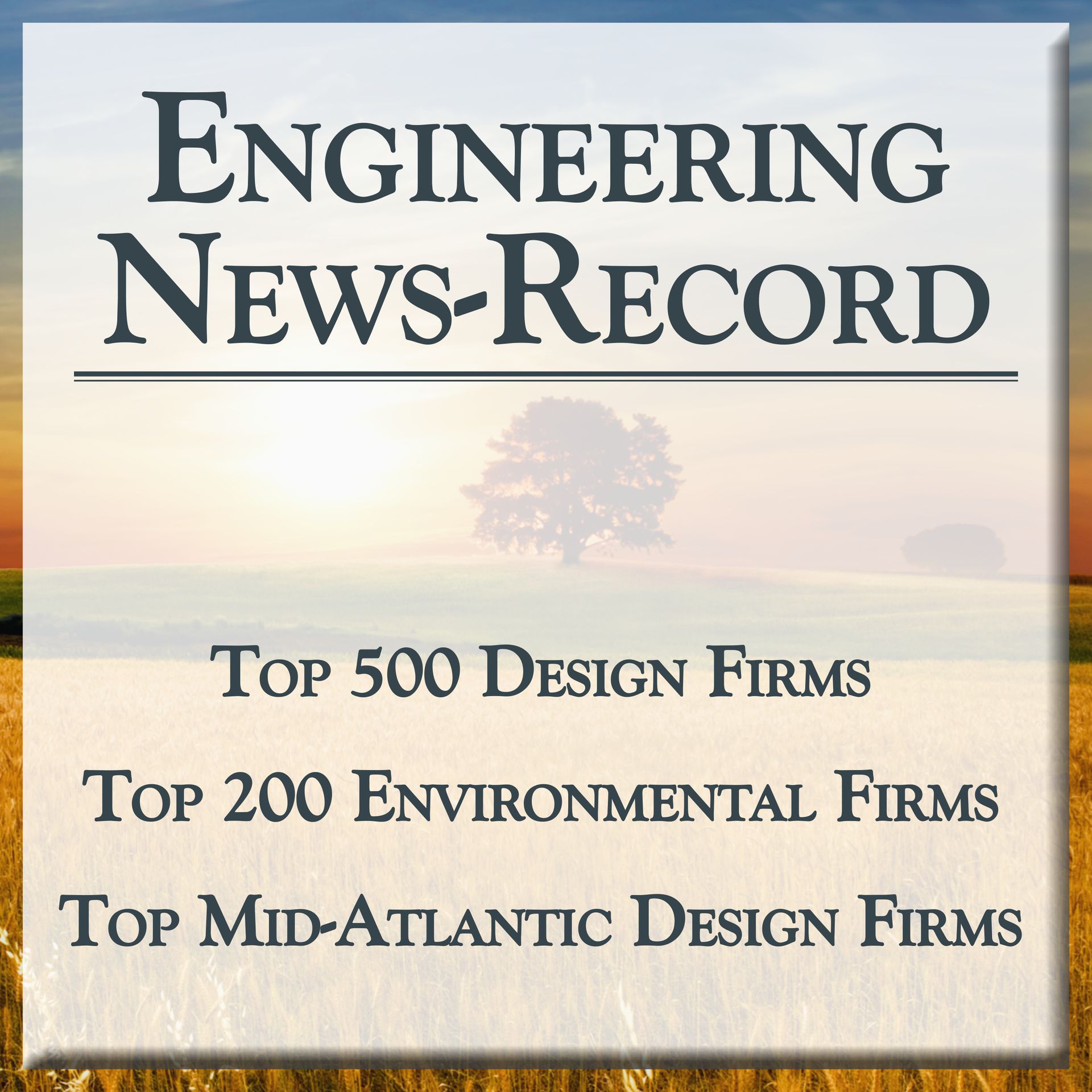 Engineering News-Record graphic with a tree in the field with a sunset in the background and text saying 500 design firm