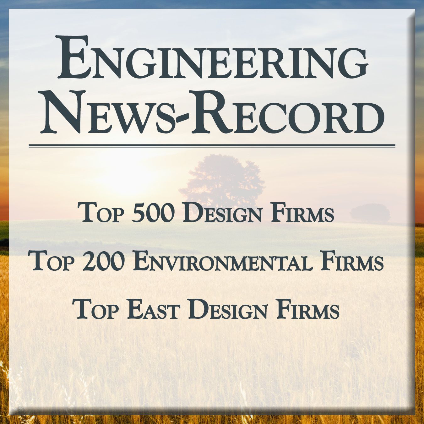 Engineering News-Record graphic with a tree in the field with a sunset in the background and text saying 500 design firm