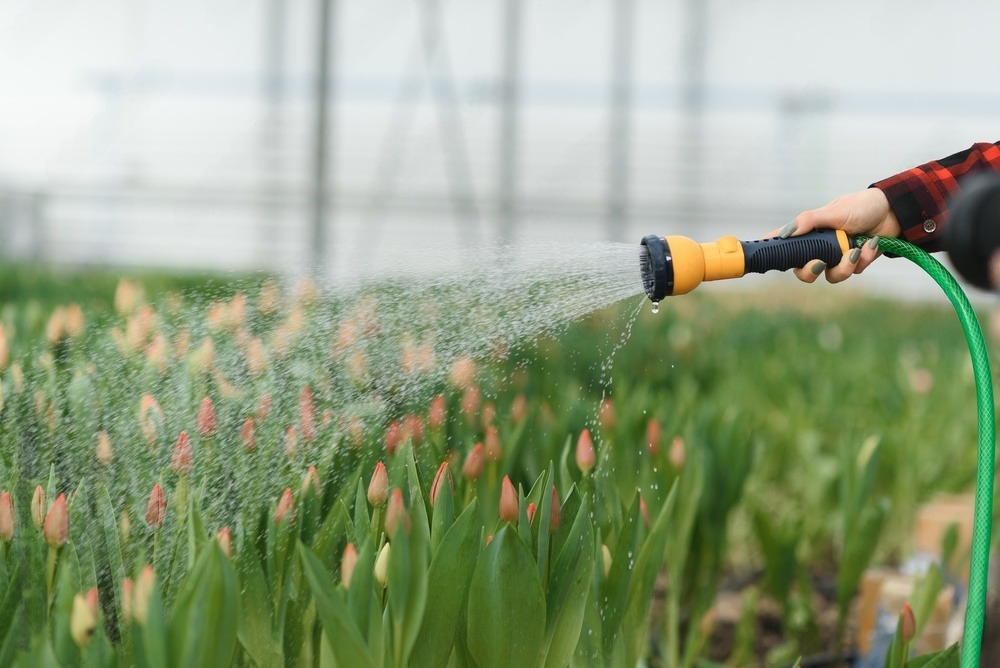 a person is watering flowers with a hose