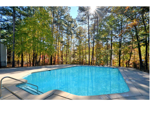 A large swimming pool in the middle of a forest at The Mark at Riverdale.