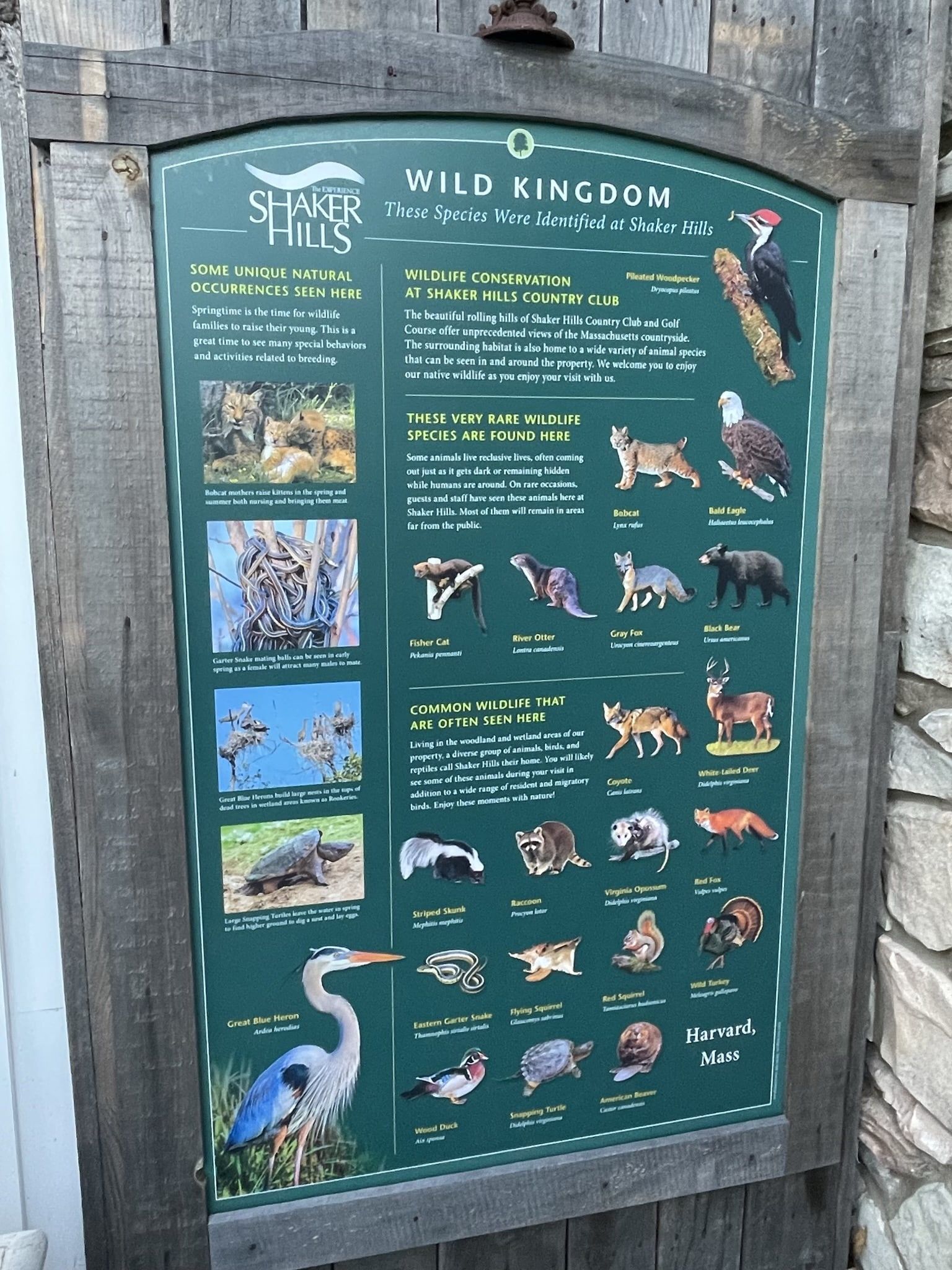 A sign that says wild kingdom on it