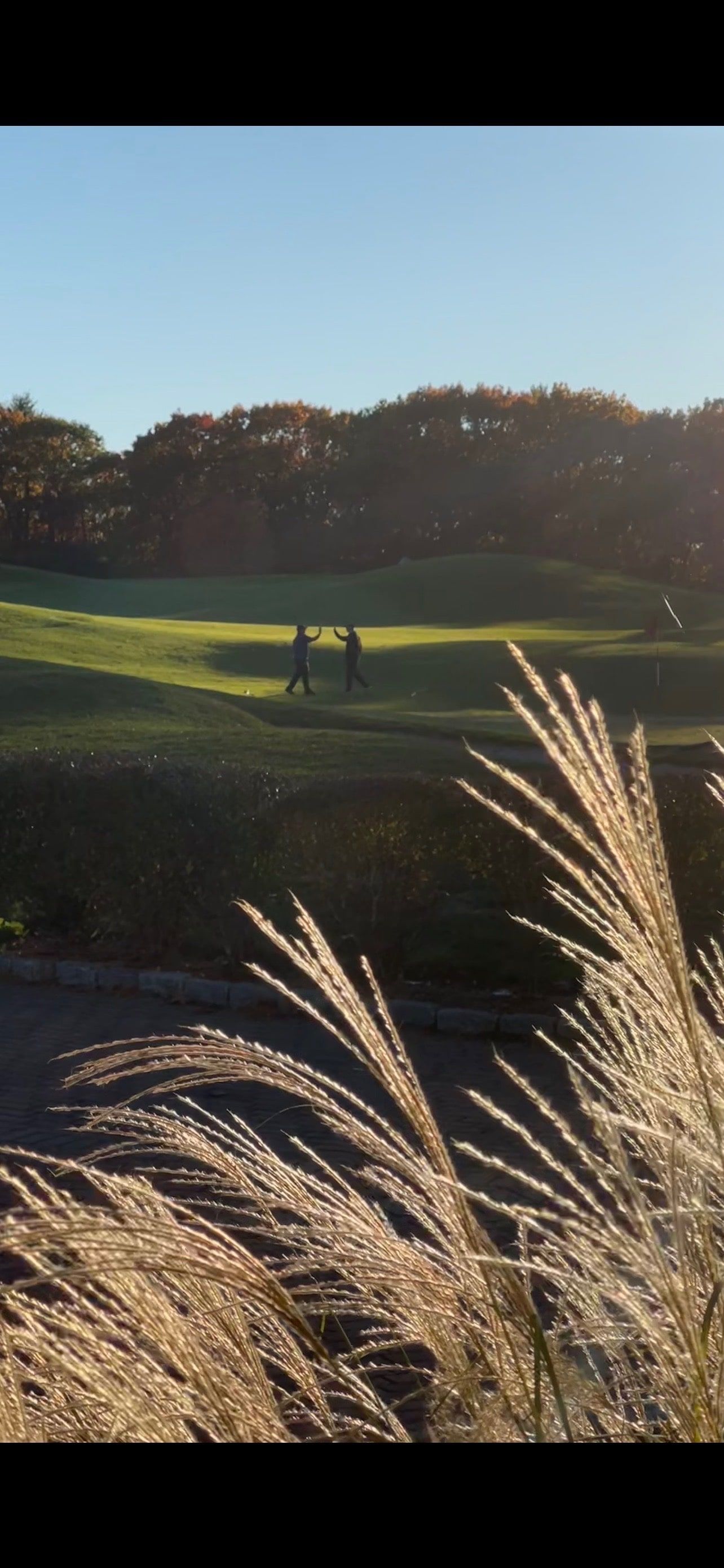 A view of a golf course with tall grass in the foreground