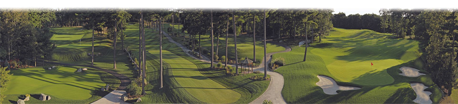 A painting of a forest with a road going through it