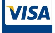 Un logotipo de visa azul y blanco sobre un fondo blanco.