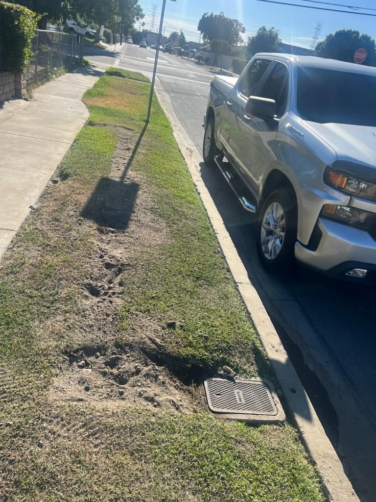 A Silver Truck is Parked on the Side of the Road Next to a Sidewalk