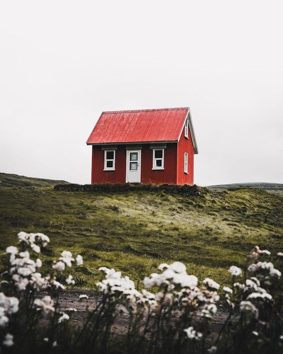 Small red house with a white roof on a grassy hill, with white flowers in the foreground.