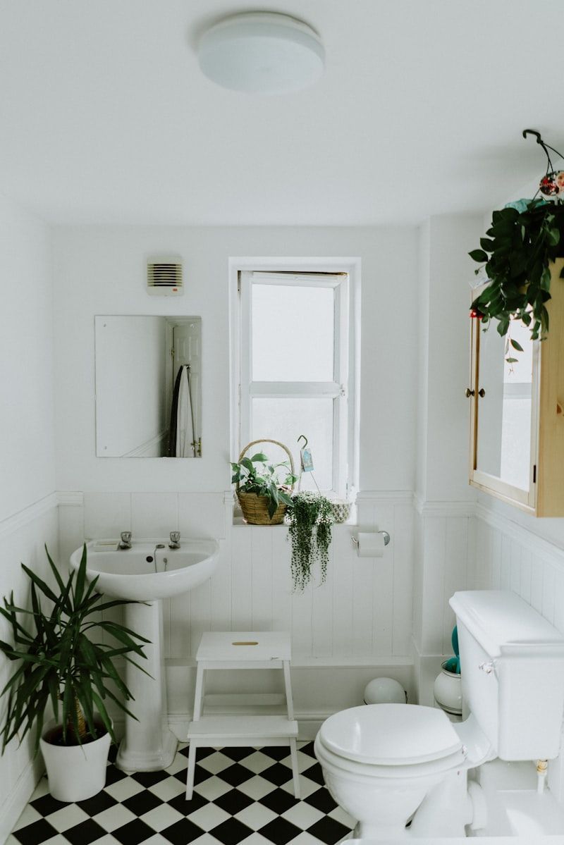 Bright white bathroom with black-and-white tile floor, sink, toilet, window, and hanging plants