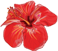 Flower Divider