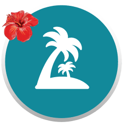 buy on maui