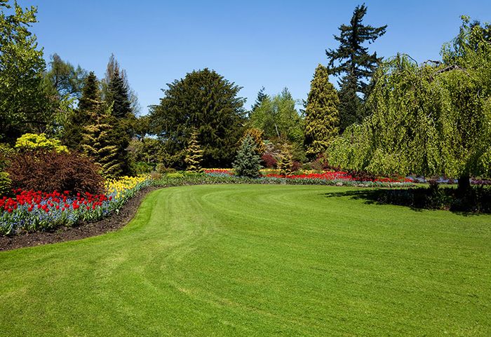 Garden Lawn — Williamson, GA — Middle GA Hauling & Landscaping LLC