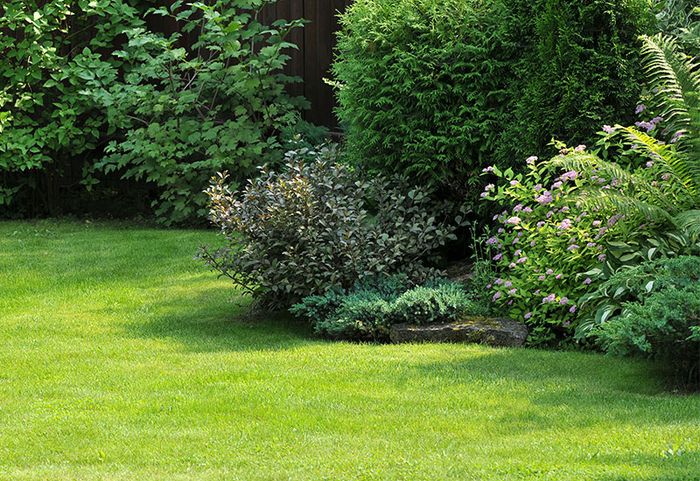 Plants On The Garden — Williamson, GA — Middle GA Hauling & Landscaping LLC
