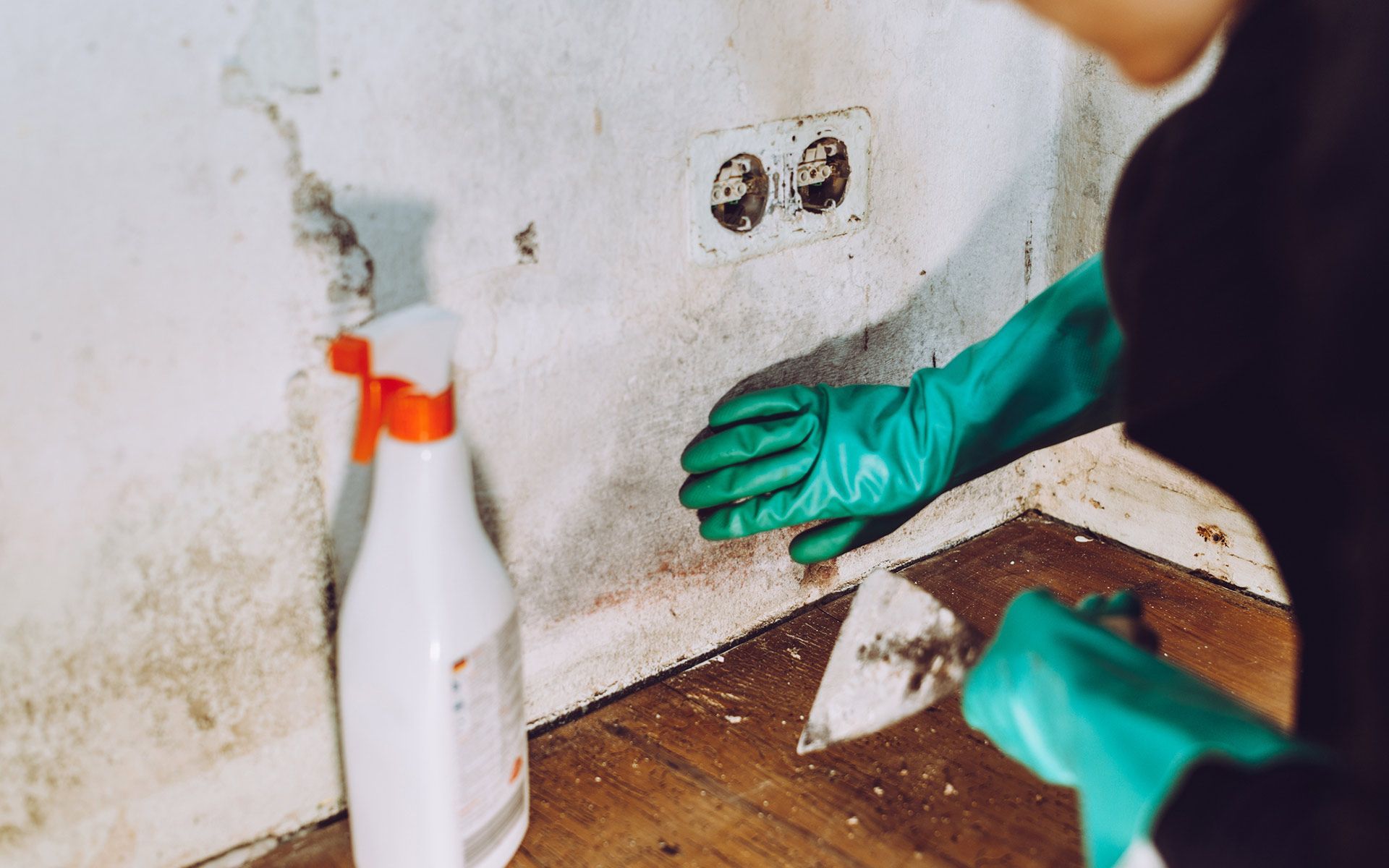 Mold Removal — Cameron, WI — Triple A Maintenance Inc.