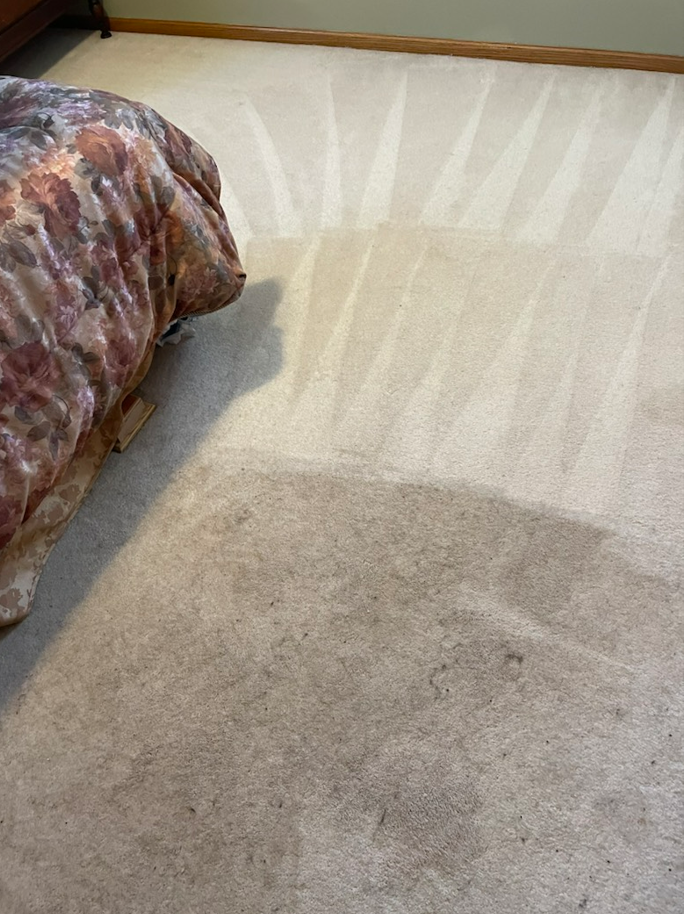 Clean Carpet — Cameron, WI — Triple A Maintenance Inc.
